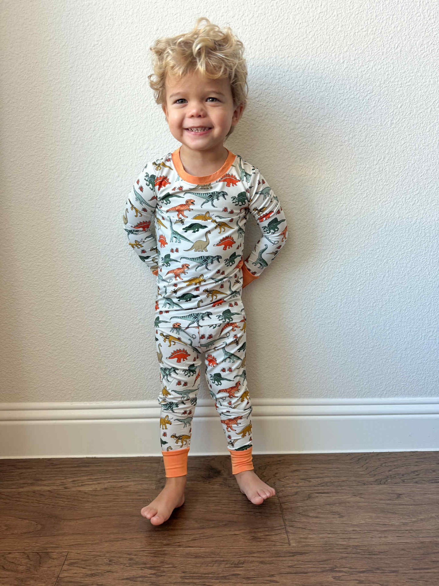 Bamboo Dinosaur Two Piece Set