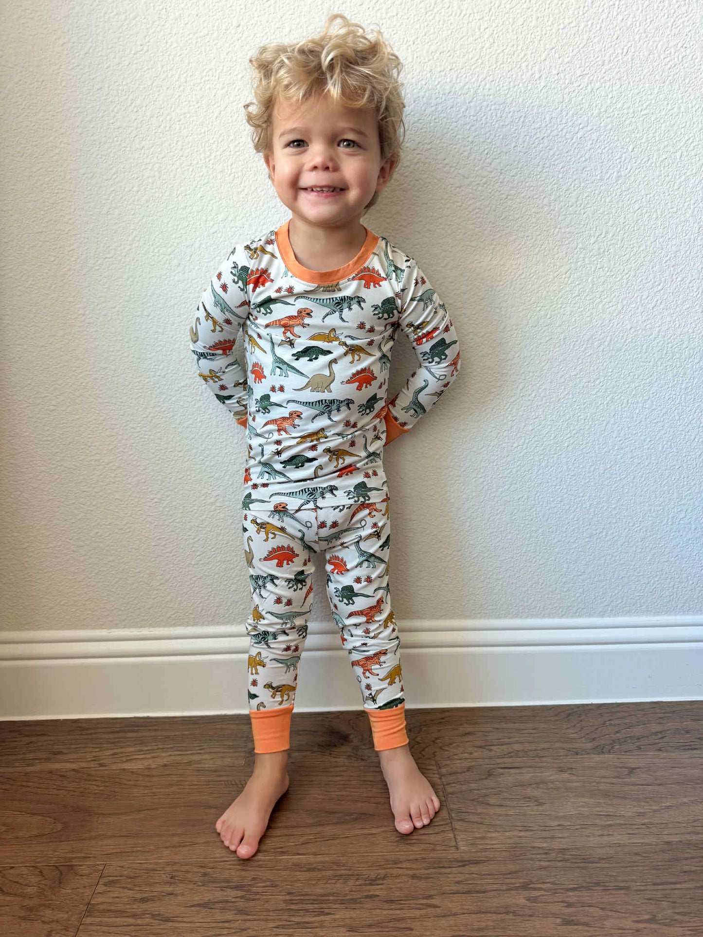 Bamboo Dinosaur Two Piece Set