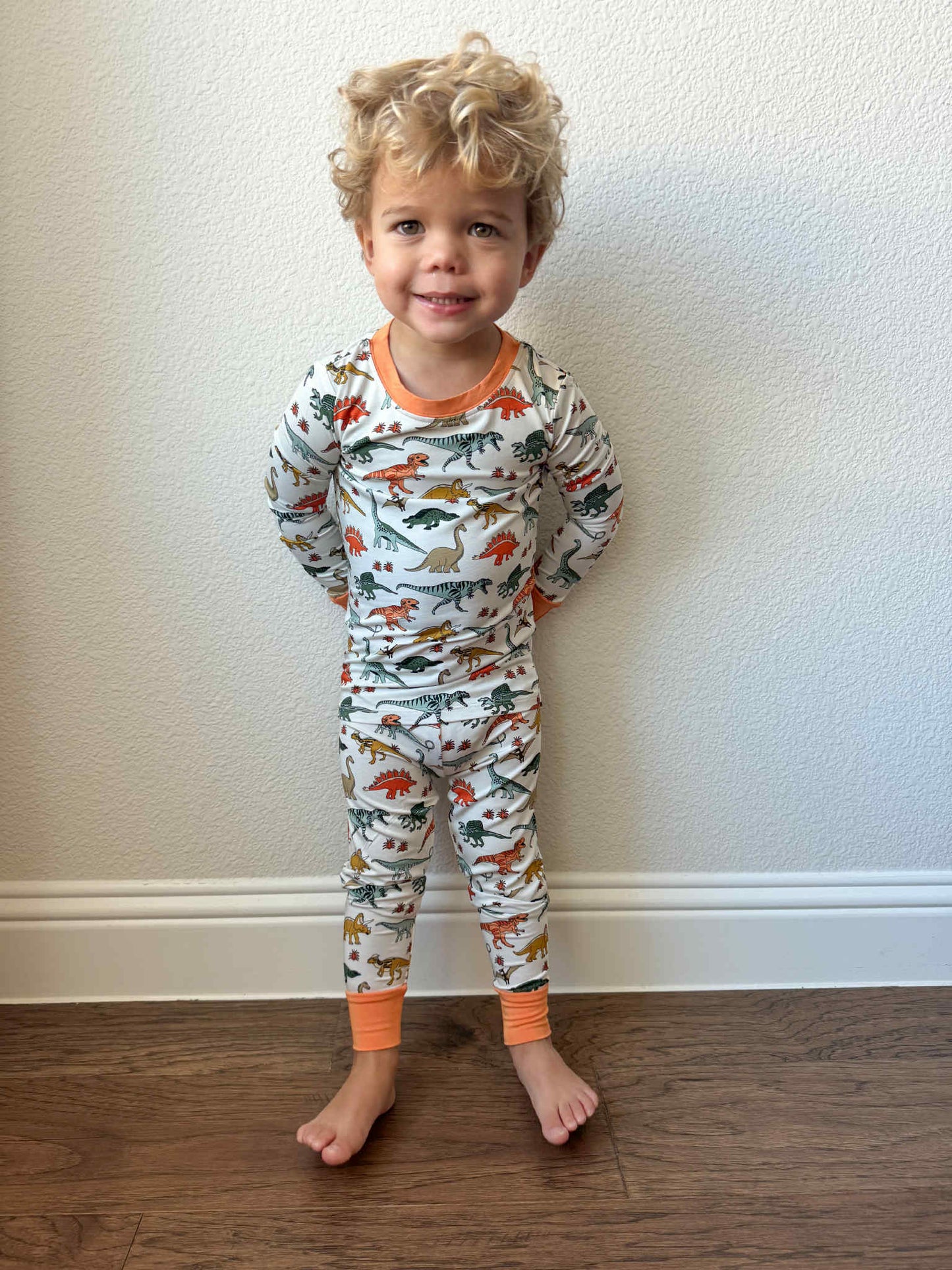 Bamboo Dinosaur Two Piece Set