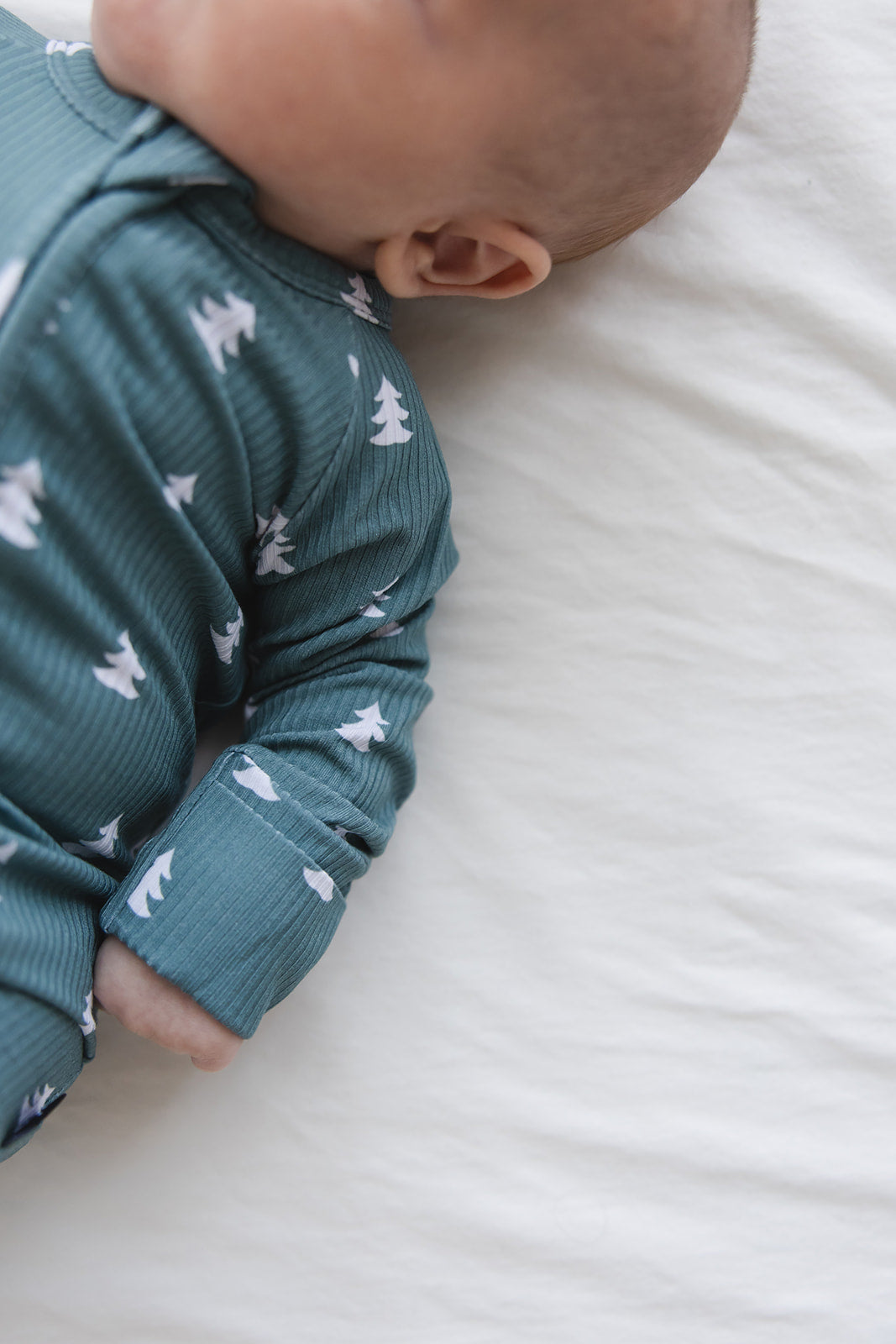 Northern Pine (ribbed) - Zippy