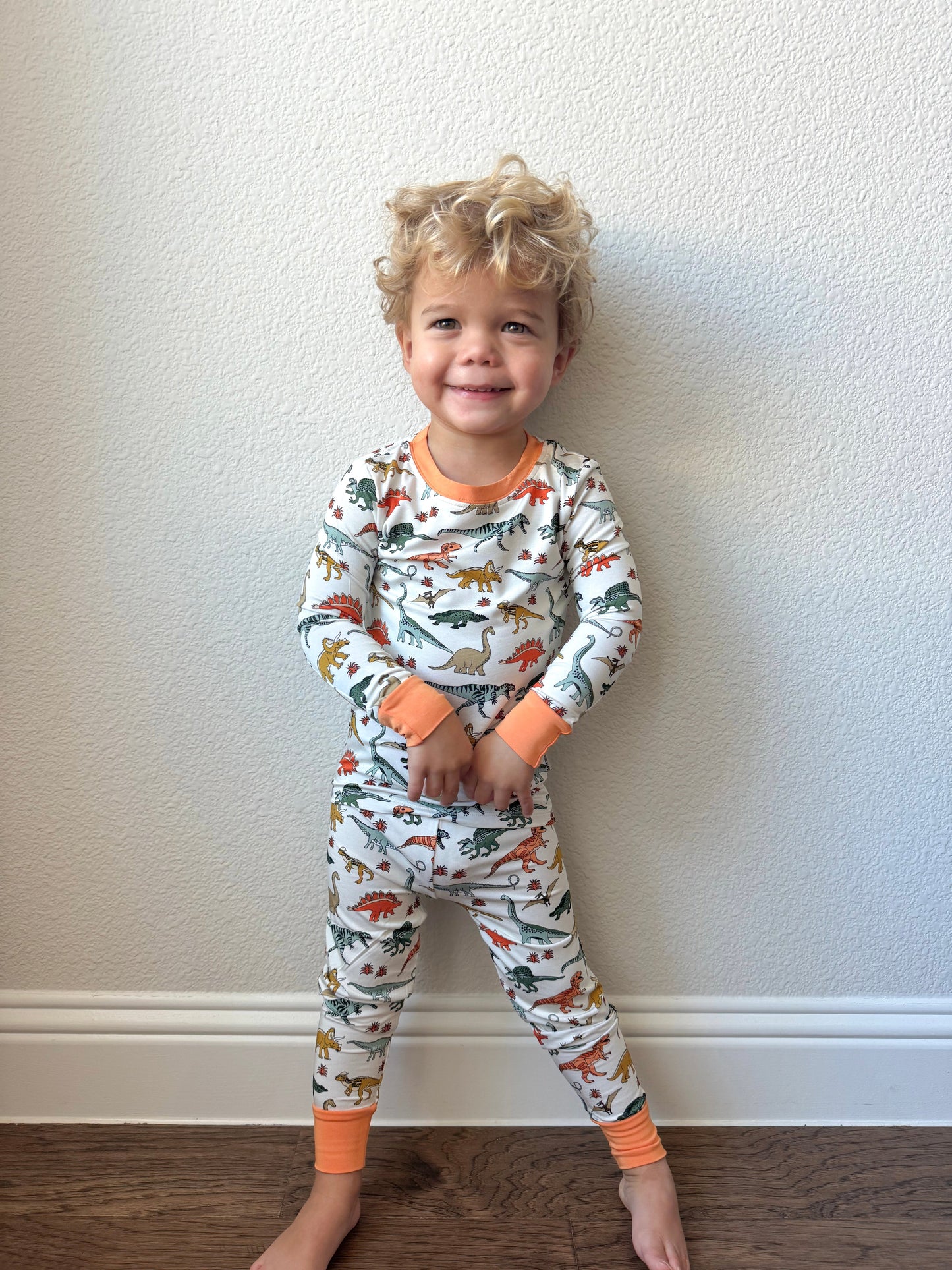 Bamboo Dinosaur Two Piece Set