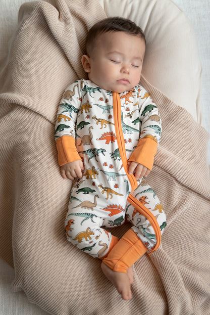 Bamboo Dinosaur Zippy