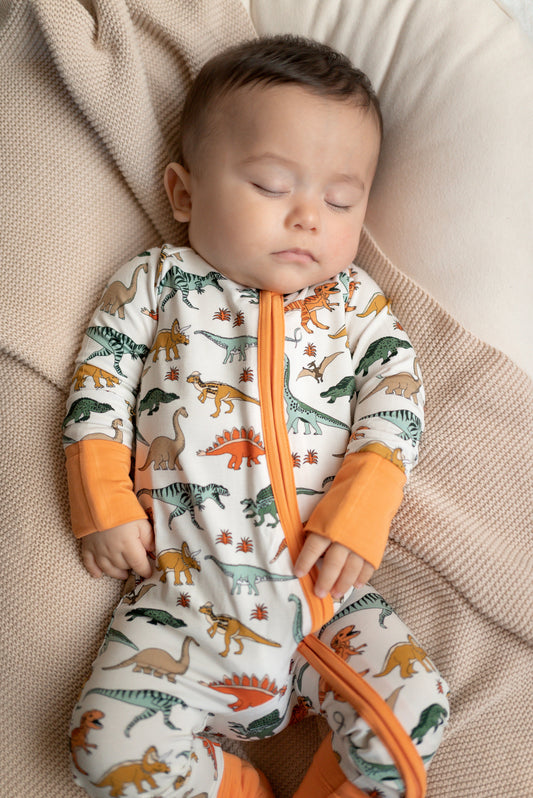 Bamboo Dinosaur Zippy