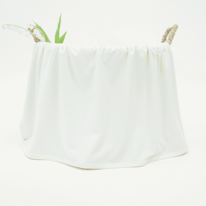 Bamboo Swaddle Blankets in Mint