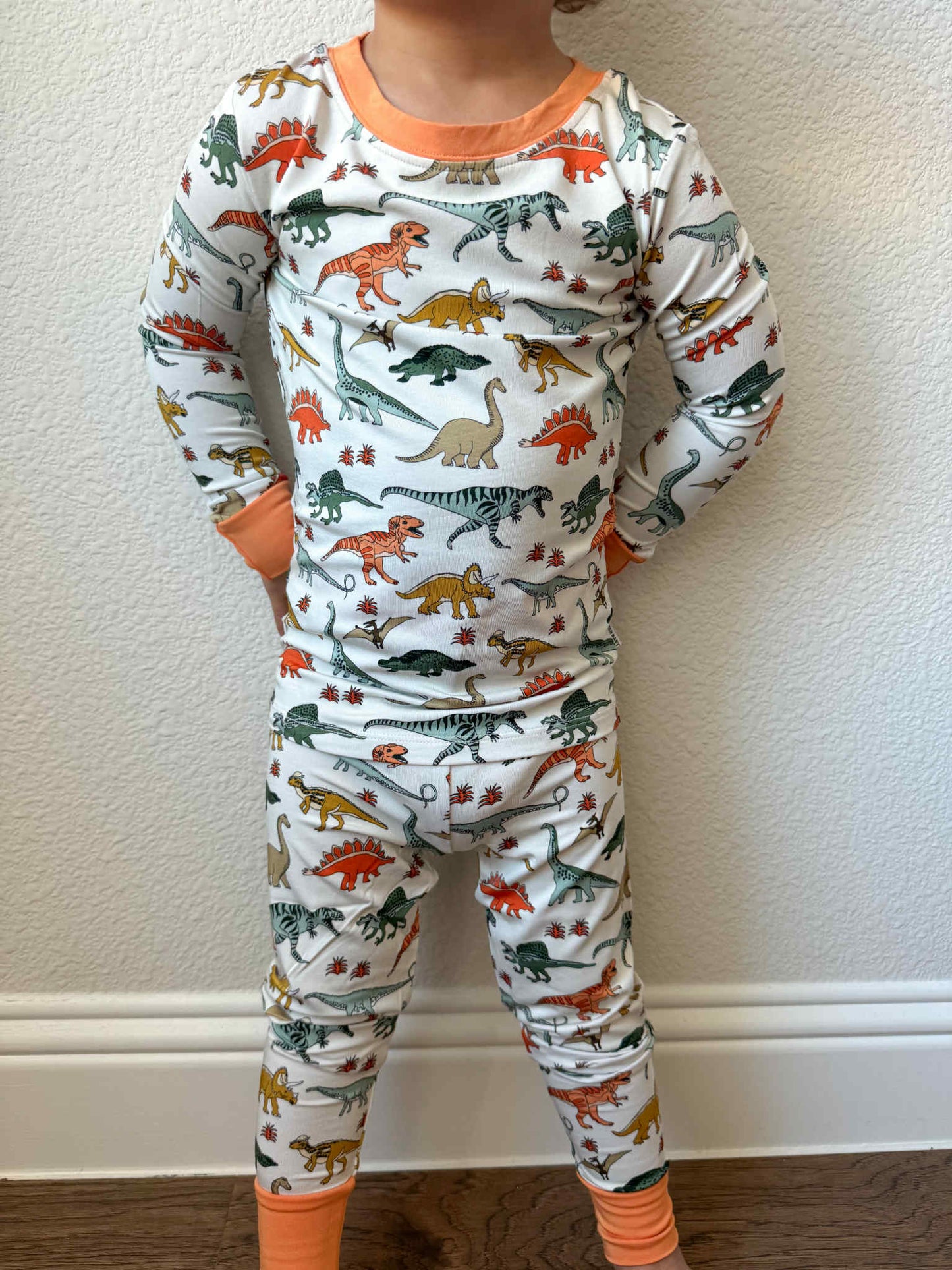 Bamboo Dinosaur Two Piece Set